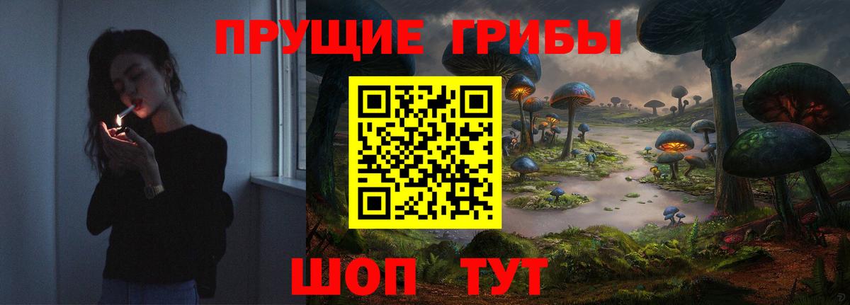 Галлюциногенные грибы ЛСД  Вход с VPN  Луга  Галлюциногенные грибы мухоморы 